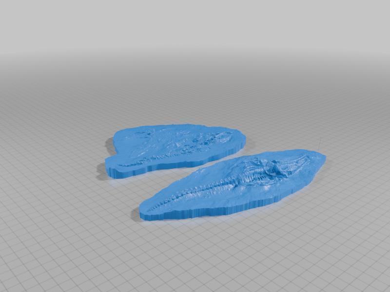 Repaired Smithsonian Miocene whale fossil scans (Cerro Ballena: La Familia and B33)