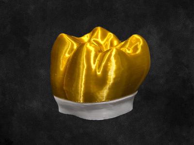 Tooth Preparation Model - Full Coverage Crown - LR