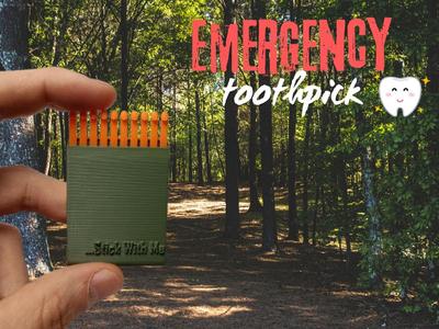 Pocket toothpicks with protective box 
