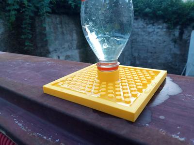Bees bootle drink platform