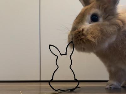 Easter cookie cutter: Bunny