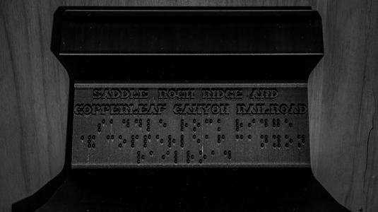 TRAIN RAIL WITH BRAILLE
