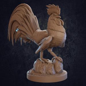 Choto Rooster - Presupported