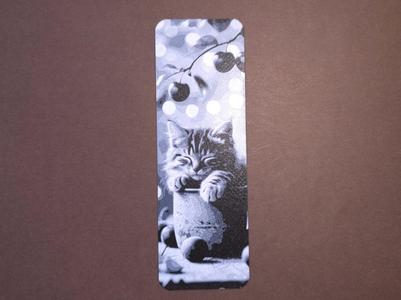 kitten tea cup 3