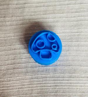 SELLO HONGO / FUNGUS SEAL