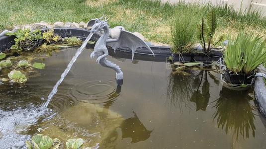 Working Dragon Water Fountain Sculpture for Pond