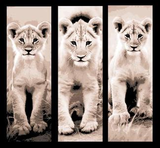 Set of 3 Bookmarks - A lion cub checking out the camera and styling for his portrait
