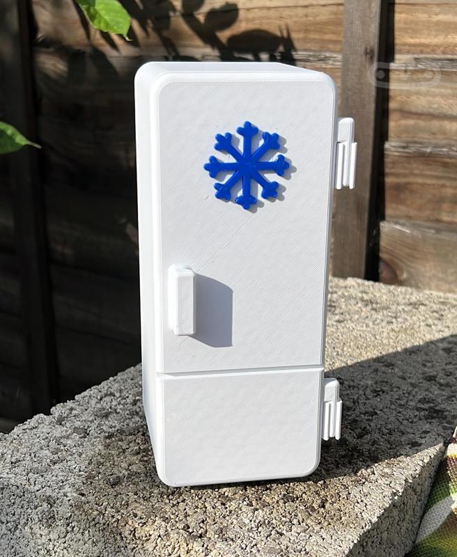 Mini Fridge