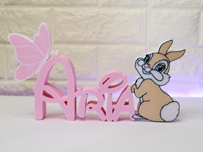 Aria Name