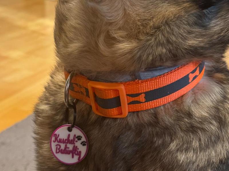 Dog tag "Cuddles needed" 