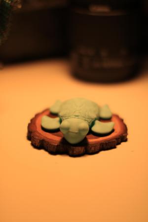articulated Turtle