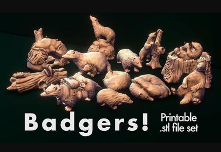 Badgers!