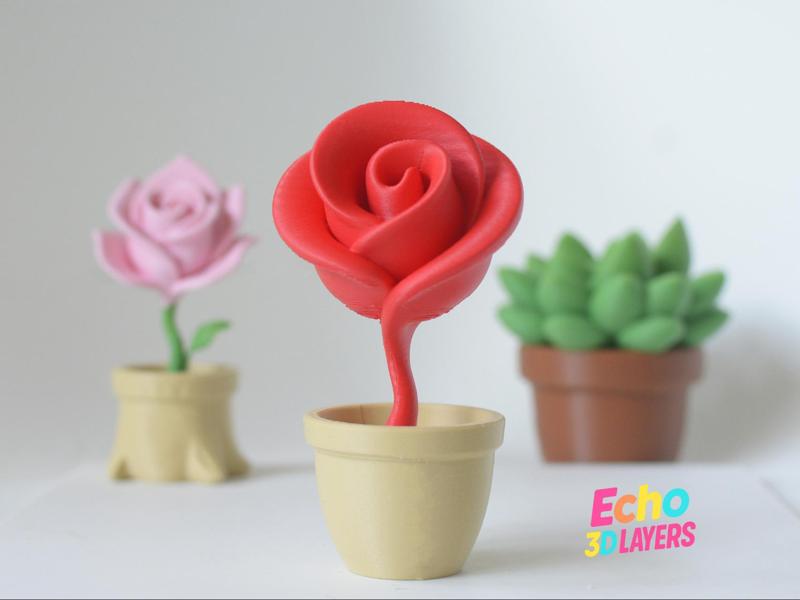Rose 