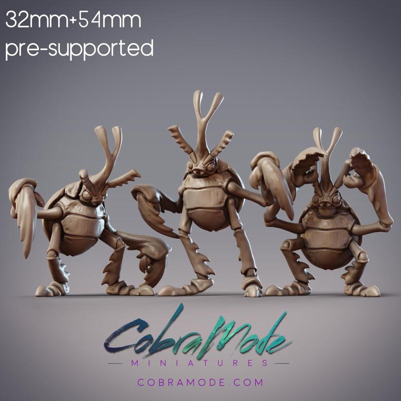 Beetle Boys Crew - Vireo, Rubus, & Foli, Antenari Folk (Pre-supported)