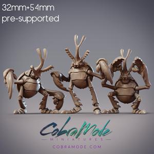 Beetle Boys Crew - Vireo, Rubus, & Foli, Antenari Folk (Pre-supported)