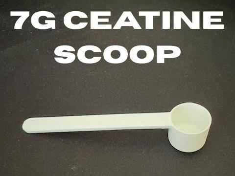 7g Creatine Scoop - Accurate & Practical