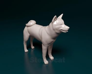 Akita inu