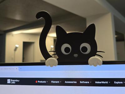 Curious Cat – Monitor-Deko