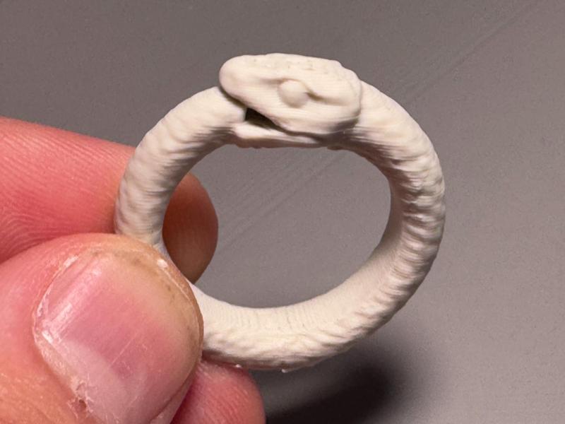 The Ouroboros Ring