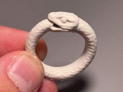 The Ouroboros Ring