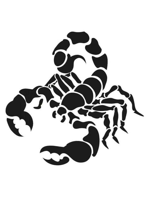 Scorpion Stencil