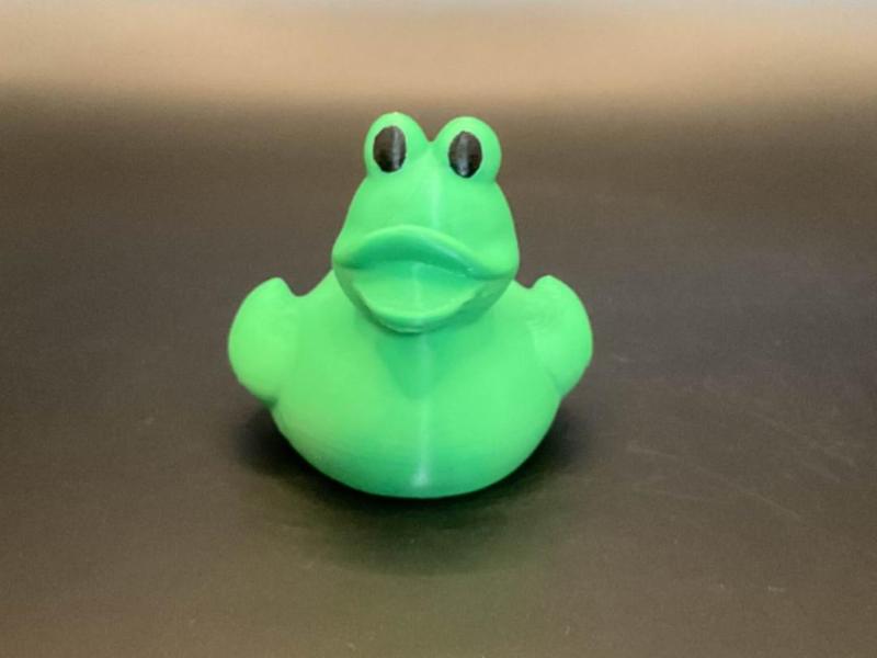 Frog Duck