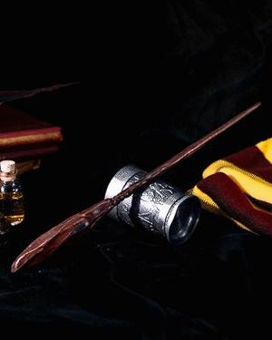 Bill Weasley's Wand - Harry Potter