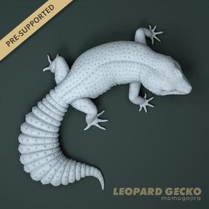 1:1 Leopard Gecko, Eublepharis macularius (Life Sized)