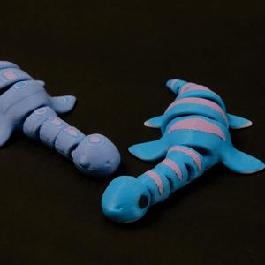 Jurassic Articulated Plesiosaurus