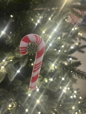 Candy Cane