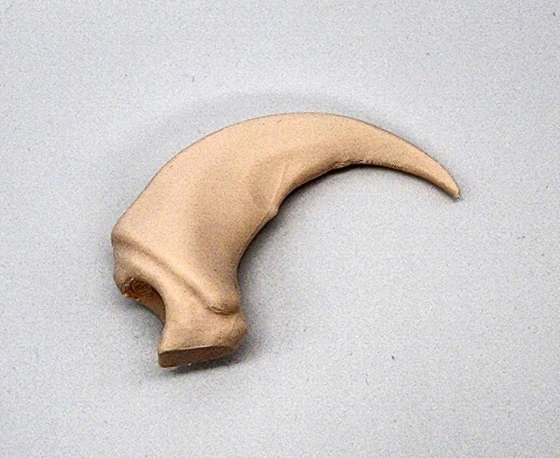 Replica Grizzly Bear Claw