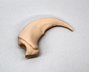 Replica Grizzly Bear Claw