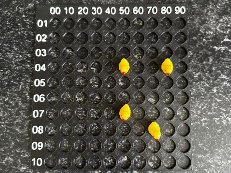 Duck Sorter 