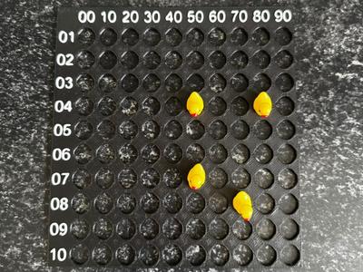 Duck Sorter 