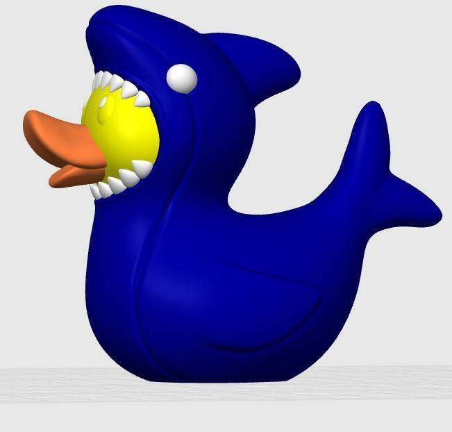Duck