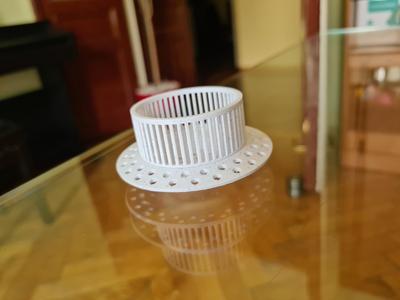 Shower Drain Strainer