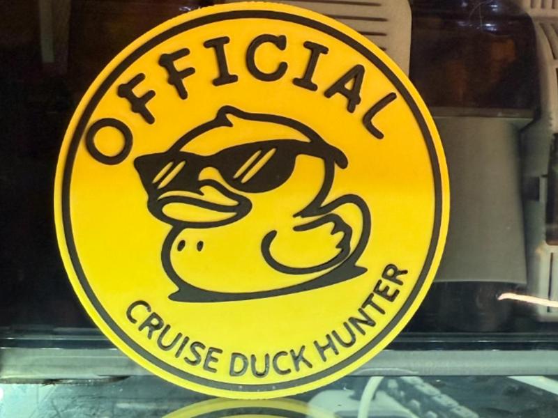OFFICIAL CRUISE DUCK HUNTER COASTER 