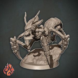 Ankheg Warrior