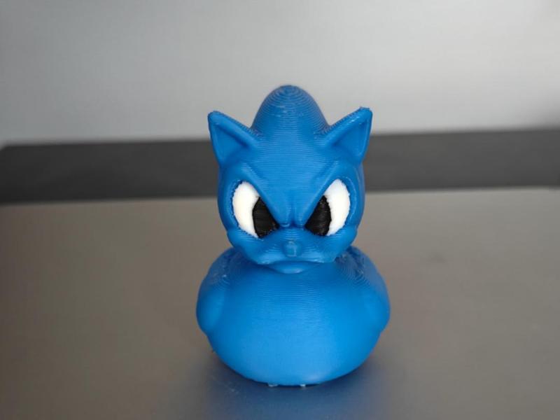 Sonic Duck