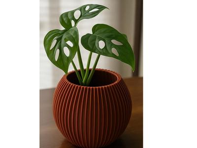 Plant vase