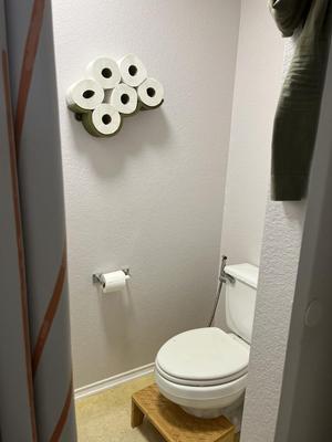 Toilet Paper Holder