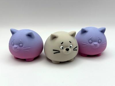 Chonky Ball Kitten