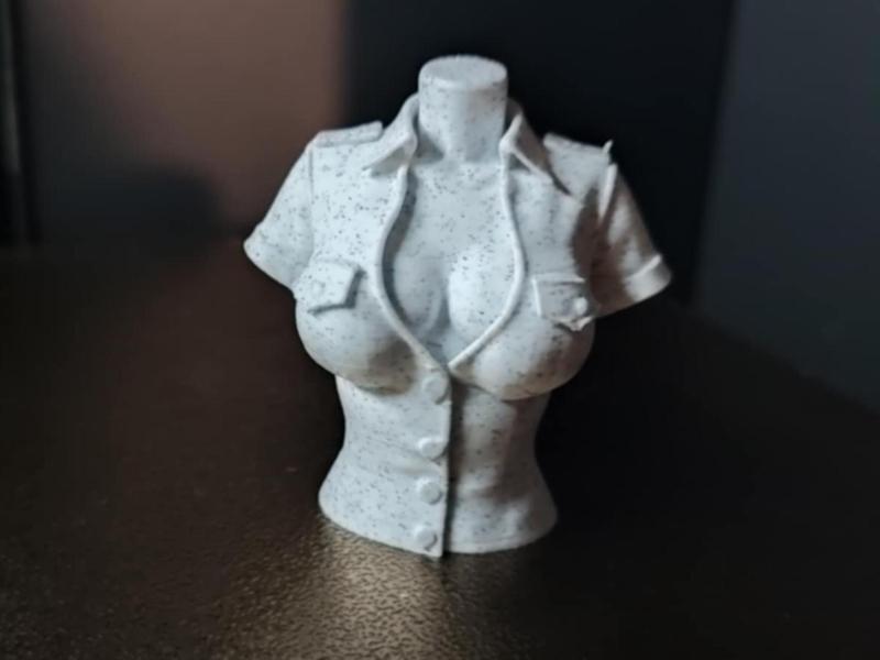 Sexy Girl Torso