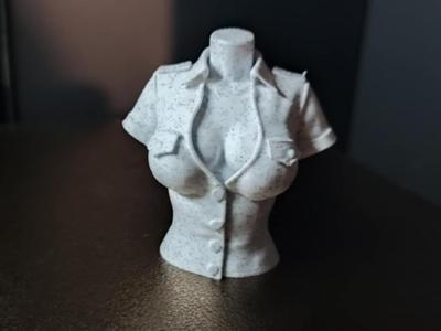 Sexy Girl Torso