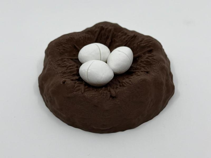 Dinosaur Nest