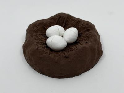 Dinosaur Nest