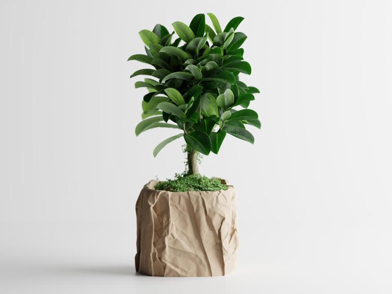 Crumbled Paper Pot – Now Available in Square Form!