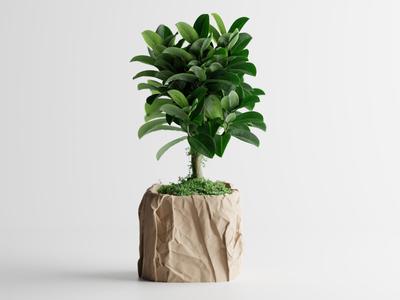 Crumbled Paper Pot – Now Available in Square Form!