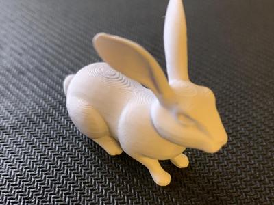Bunny