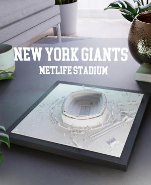 New York Giants & Jets - Metlife Stadium